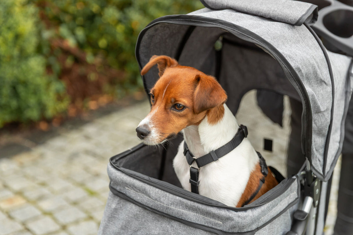 Kleiner Hund sitzt in grauem Transportwagen auf gepflastertem Weg draußen.