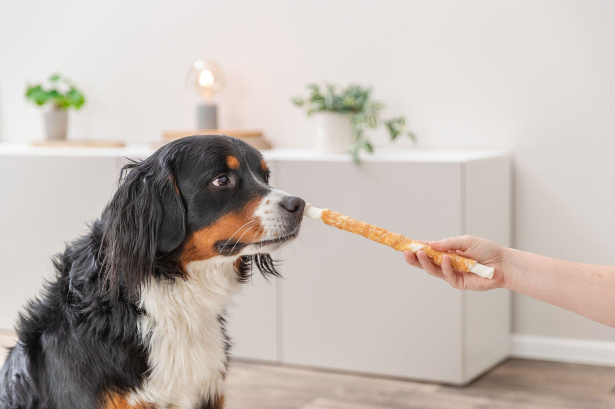 Ein Hund schnuppert an einem von einer Hand gehaltenen Kauknochen in einem Raum.