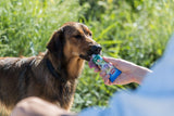 Ein Hund leckt an einer aus einer Hand gehaltenen blauen Tube mit grünem und weißen Etikett, im Freien bei Sonnenschein.