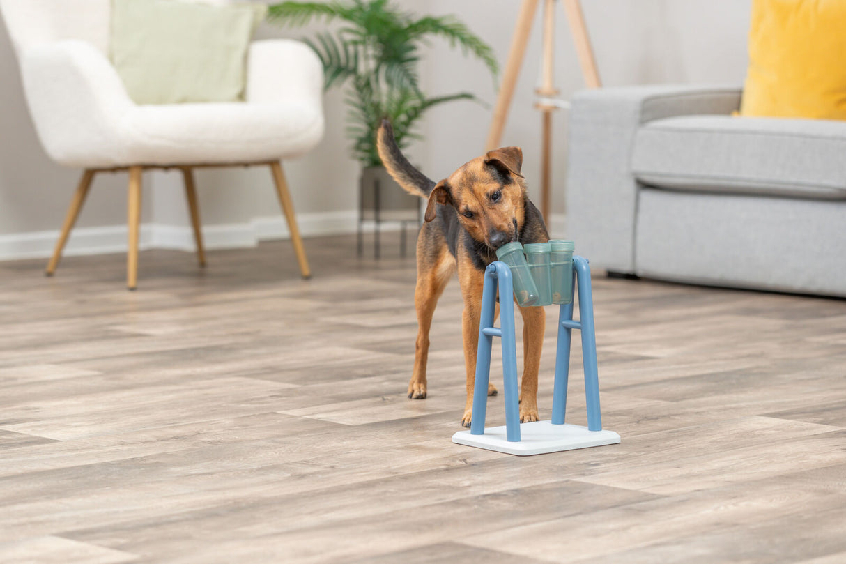 Ein Hund interagiert mit einem blauen, freistehenden Futterspender in einem Wohnzimmer mit Holzboden.