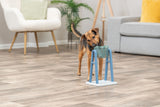 Ein Hund interagiert mit einem blauen, freistehenden Futterspender in einem Wohnzimmer mit Holzboden.