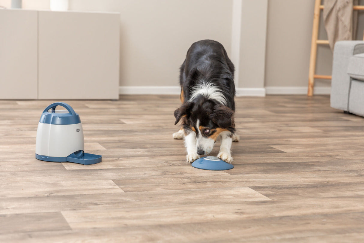 Hund spielt mit blauem Spielzeug auf einem Holzboden neben einer weißen Futterschüssel.