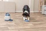 Hund spielt mit blauem Spielzeug auf einem Holzboden neben einer weißen Futterschüssel.