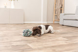 Kleiner Hund liegt auf einem Holzboden neben einem bunten Spielzeug in einem Wohnzimmer.