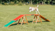 Ein Hund springt über eine bunt gestaltete Holzrampe auf einer Rasenfläche unter freiem Himmel.