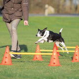 Ein Hund springt über orange Hürden auf einer Wiese, während eine Person in einer braunen Jacke nebenher geht.