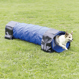 Ein Hund läuft aus einem blau-schwarzen Tunnel auf einer grünen Wiese heraus.