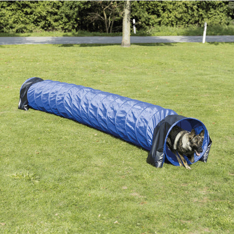 Langer blauer Tunnel auf grünem Gras, ein Hund läuft am Ende des Tunnels heraus.