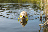 Ein Hund schwimmt im See und trägt ein gelbes Spielzeug im Maul.