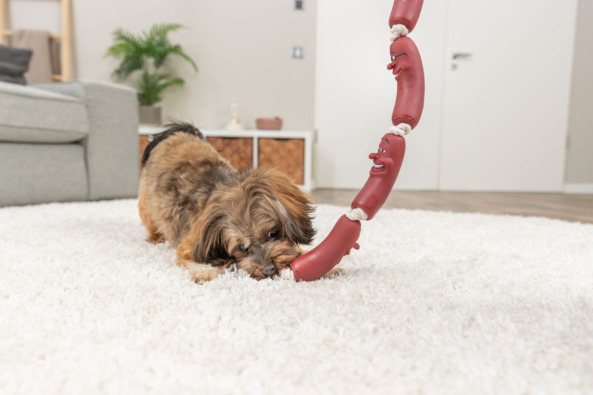 Ein kleiner Hund spielt auf einem weißen Teppich mit einem Kauknochen-Spielzeug, das wie rote Würstchen aussieht.