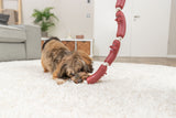 Ein kleiner Hund spielt auf einem weißen Teppich mit einem Kauknochen-Spielzeug, das wie rote Würstchen aussieht.