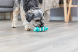 Ein Hund inspiziert ein blaues Spielzeug auf einem Holzboden in einem Wohnzimmer mit Möbeln im Hintergrund.