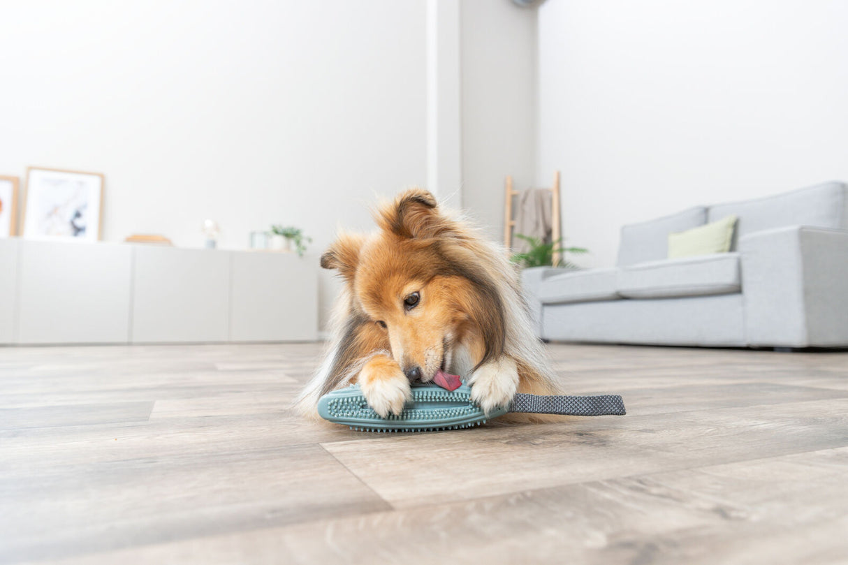 Ein Hund leckt eine Haustierbürste in einem modernen Wohnzimmer auf hellem Holzboden.