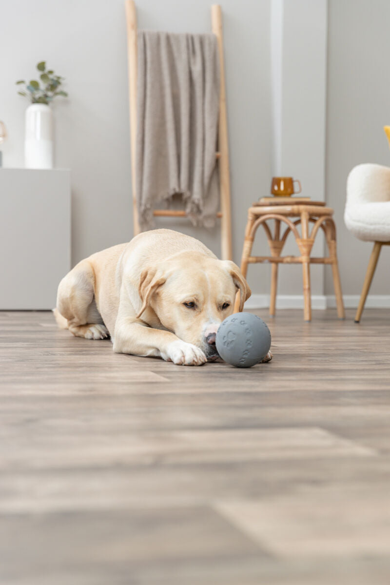 Ein Hund liegt auf einem Holzboden und betrachtet einen grauen Ball.