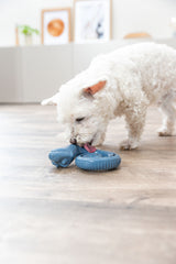 Weißer Hund leckt an einem blauen Hundespielzeug auf einem Holzboden.