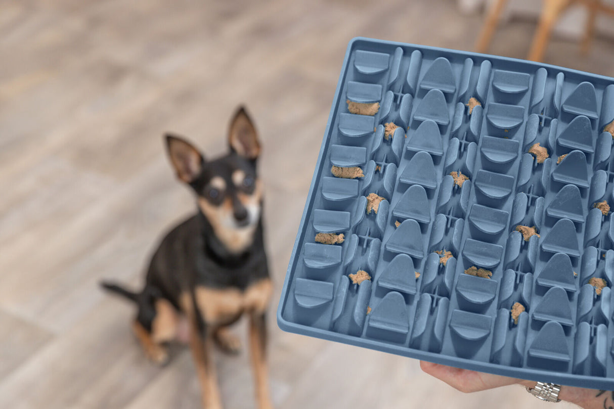 Ein kleiner Hund sitzt vor einem blauen Futterspielzeug mit Snacks auf einem Holzboden.