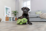 Ein großer schwarzer Hund liegt auf einem Holzboden und hält ein grünes Plüschspielzeug in einem modernen Wohnzimmer.