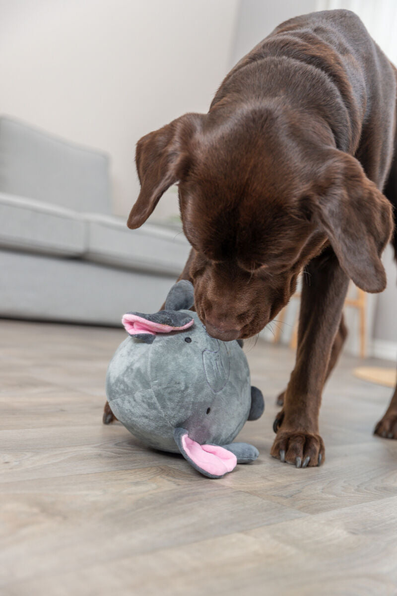 Ein brauner Hund schnüffelt an einem grauen Plüschspielzeug mit rosa Ohren auf einem Holzboden.