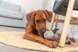 Ein brauner Hund liegt auf einem runden Teppich und spielt mit einem grauen Plüschspielzeug neben einem Stuhl.
