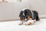 Ein Hund mit dreifarbigem Fell spielt mit einem Plüschspielzeug auf einem Teppich.
