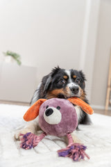 Hund mit Plüschspielzeug in Form eines lila Hundekopfes auf einem hellen Teppich.