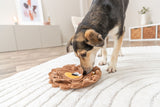 Ein Hund schnüffelt an einem braunen Spielzeug auf einem weißen Teppich in einem hellen Raum.
