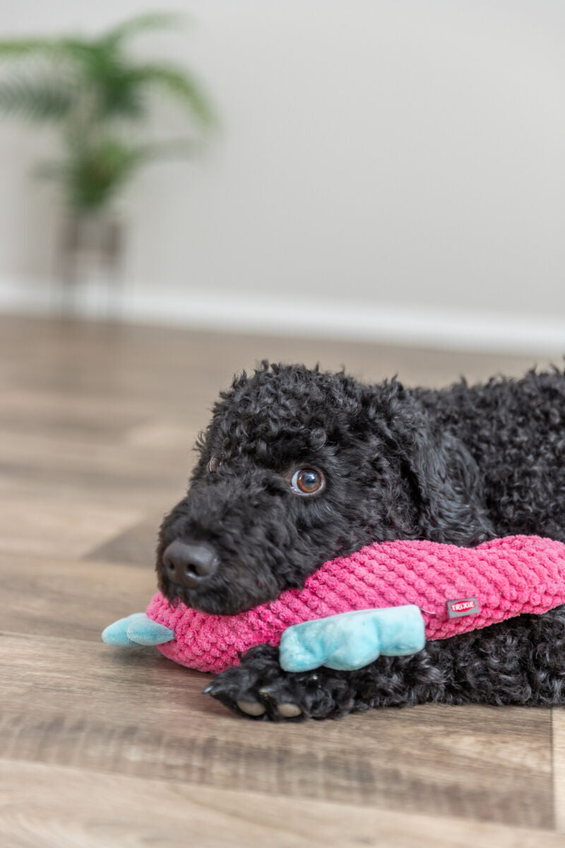 Ein schwarzer Hund liegt mit einem pinken TRIXIE-Spielzeug auf Holzboden.