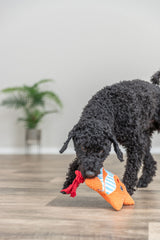 Lockiger schwarzer Hund trägt ein orangefarbenes Spielzeug in einem hellen Raum.