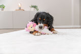 Hund liegt in einem Zimmer auf einer weißen Decke und hält ein pinkes Plüschtier.