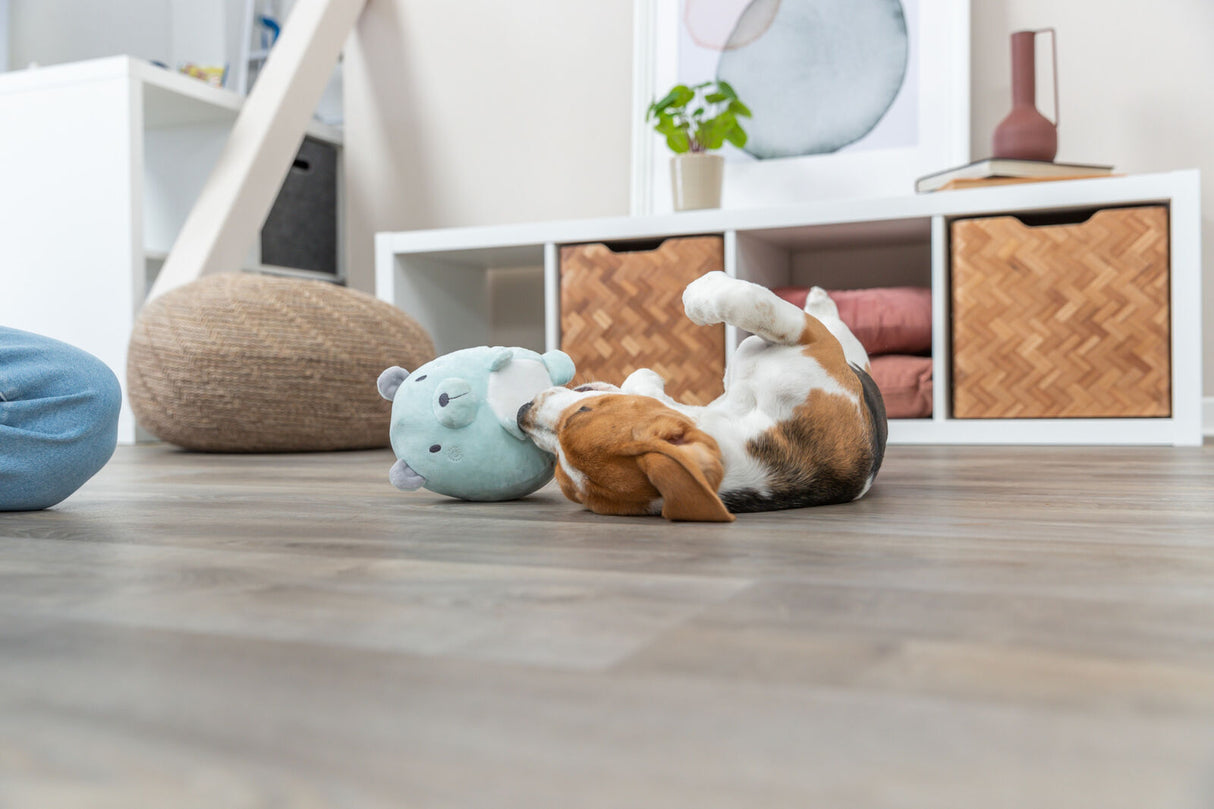 Hund spielt auf dem Boden mit einem plüschigen blauen Spielzeug, im Hintergrund sind Körbe und Möbel zu sehen.