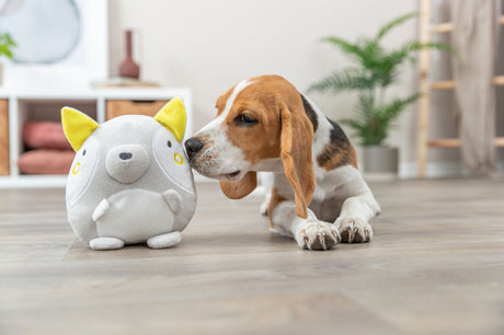 Ein Beagle-Welpe liegt auf dem Boden und schnuppert an einem grauen Plüschtier mit gelben Ohren.