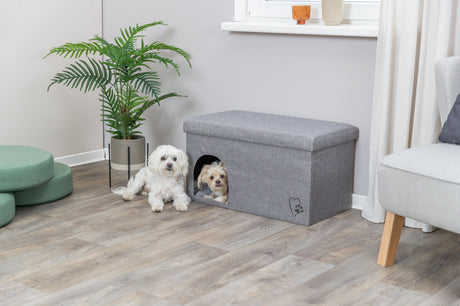 Zwei kleine Hunde neben einer grauen Hundehöhle in modernem Wohnzimmer.