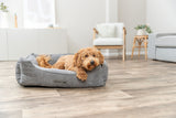 Kleiner Hund liegt in einem grauen Hundebett auf Holzboden in einem modernen Wohnzimmer.