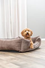 Ein lockiger Hund sitzt in einem braunen Hundebett auf einem Holzboden.