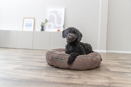 Schwarzer Hund liegt auf braunem Hundebett auf hellem Holzboden in modernem Raum.