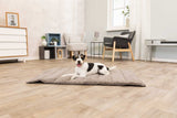 Ein kleiner Hund liegt auf einem beigen Hundebett in einem modern eingerichteten Wohnzimmer.