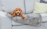 Ein kleiner brauner Hund liegt auf einer grauen Decke auf einem hellgrauen Sofa.
