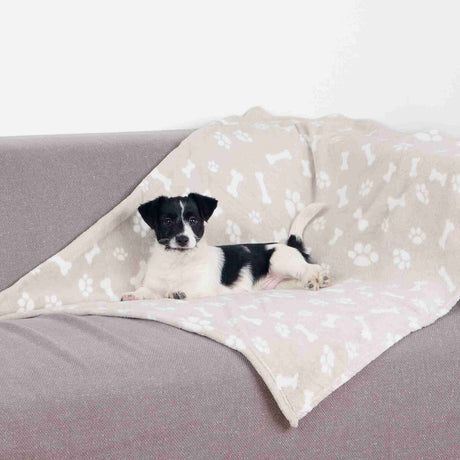 Ein kleiner weiß-schwarzer Hund liegt auf einer grauen Couch mit einer beige gemusterten Decke.