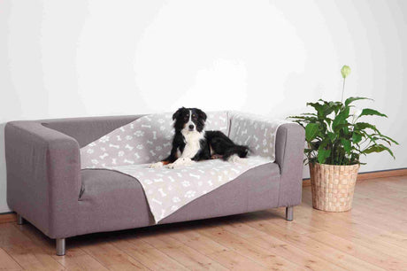 Hund liegt auf grauem Sofa mit gemusterter Decke neben einer Pflanze im Korb.