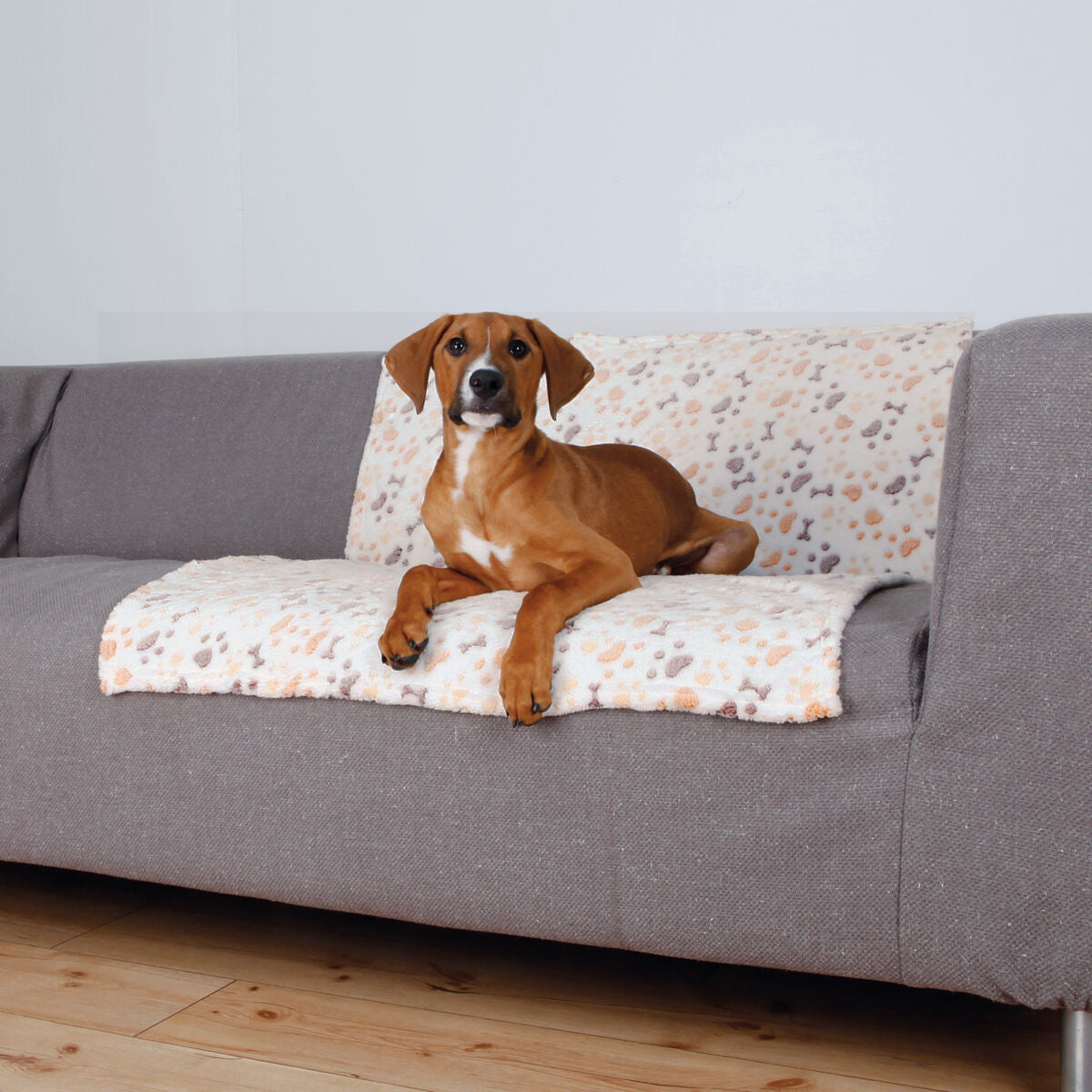 Brauner Hund liegt auf grauem Sofa mit gemusterter Decke im Wohnzimmer.