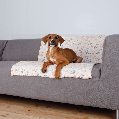 Brauner Hund liegt auf grauem Sofa mit gemusterter Decke im Wohnzimmer.