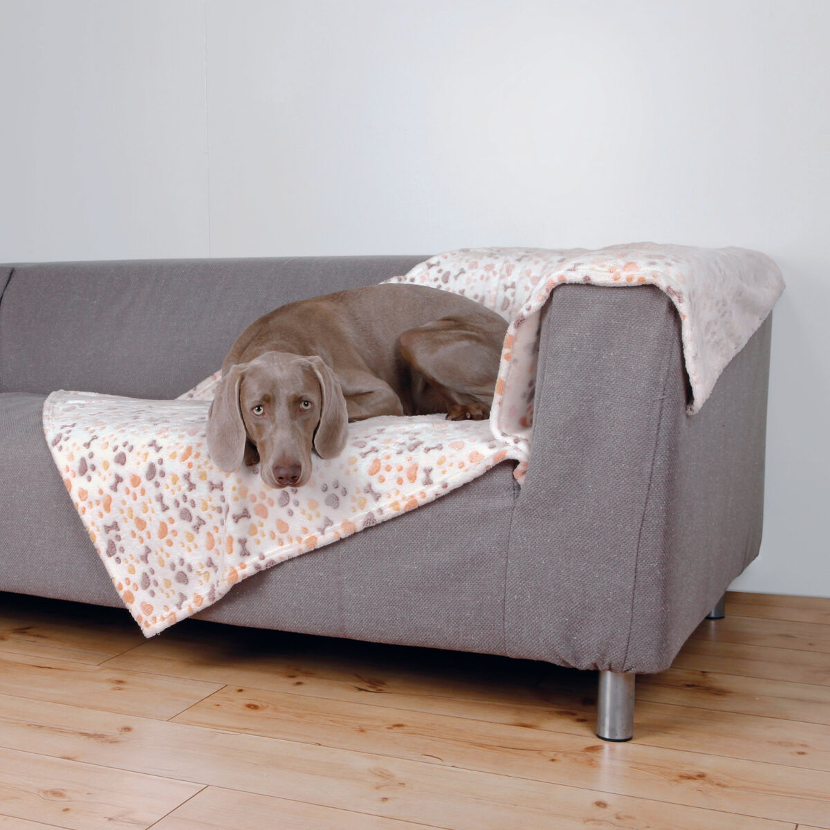 Hund liegt auf gemusterter Decke auf grauem Sofa im Raum.