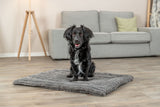 Ein schwarzer Hund sitzt auf einem grauen Hundebett in einem Zimmer mit Holzfußboden und grauem Sofa.
