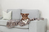 Ein Hund liegt auf einer grauen Couch mit einer Decke im Leopardenmuster.