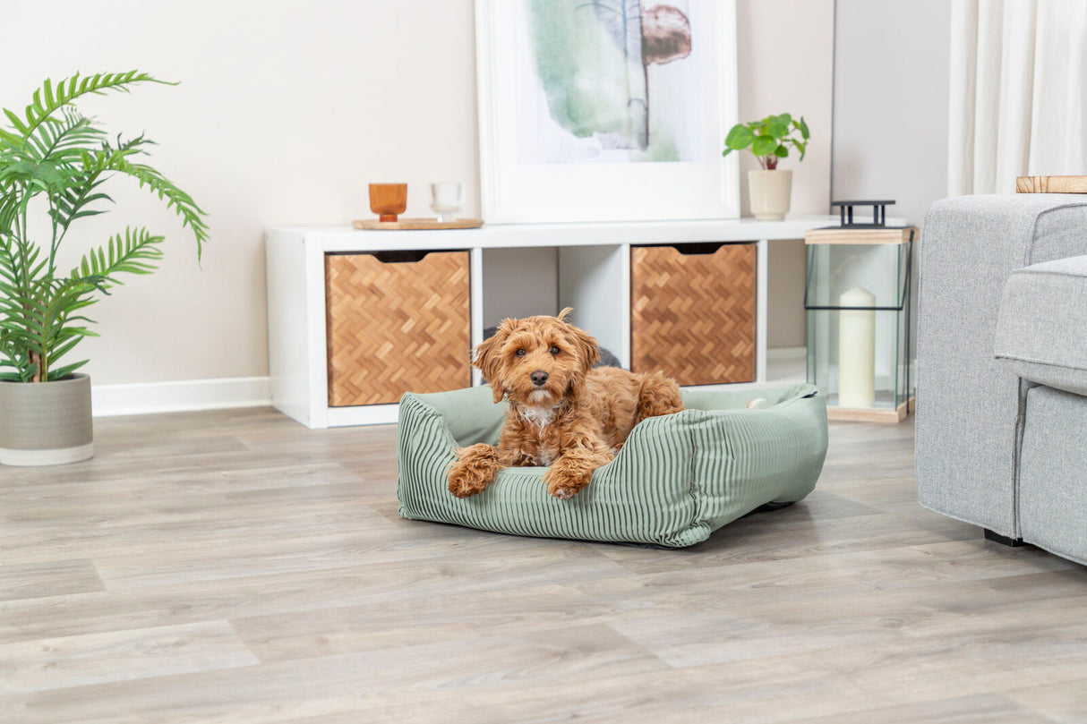 Ein kleiner Hund liegt in einem grünen Hundebett auf einem Holzboden in einem modern eingerichteten Wohnzimmer.