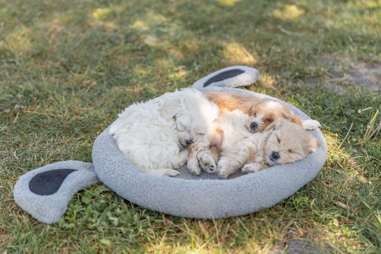 Drei schlafende Welpen liegen zusammengekuschelt auf einem grauen Hundebett im Gras.