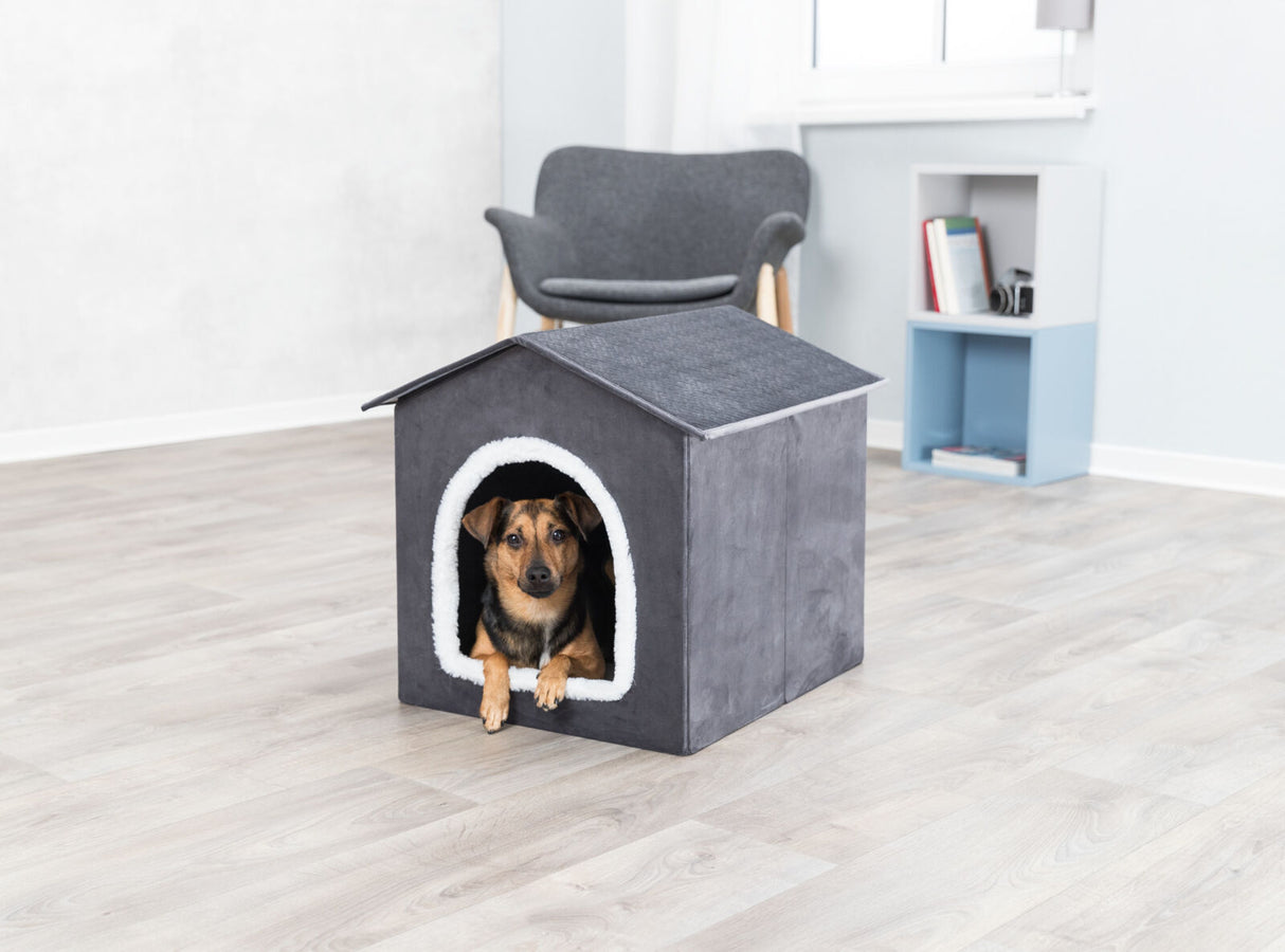 Hund sitzt in einem grauen Hundehäuschen mit weißem Eingang in einem hellen Raum mit Holzboden.