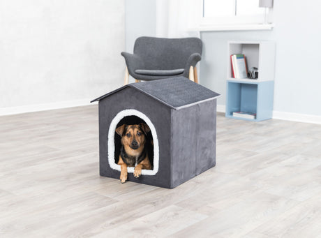 Hund sitzt in einem grauen Hundehäuschen mit weißem Eingang in einem hellen Raum mit Holzboden.