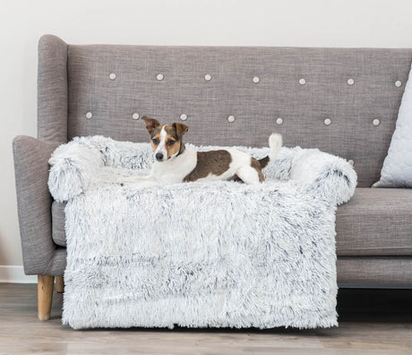 Ein Hund liegt auf einer grauen Couch mit einem weißen, flauschigen Überwurf in einem Raum mit Holzboden.
