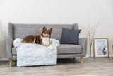 Ein brauner Hund liegt auf einer grauen Couch mit Kissen und Decke, daneben steht ein gerahmtes Bild an der Wand.